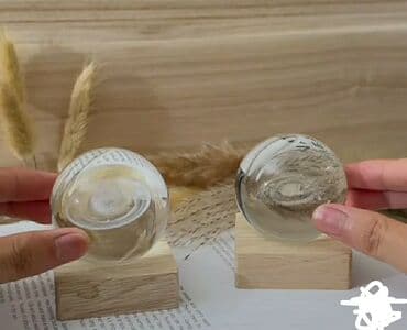 ağaç adları: Fiqur — 2