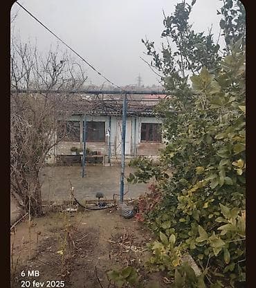 torpag sahesi: 4 sot, Tikinti, Mülkiyyətçi, Kupça (Çıxarış) — 7