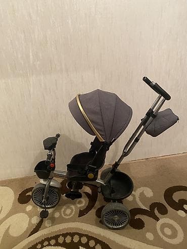 Uşaq üçün 3 təkərli velosiped-kolyaska - Rəng: boz (qızılı detal