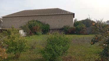 бина аз недвижимость: Tikinti — 4