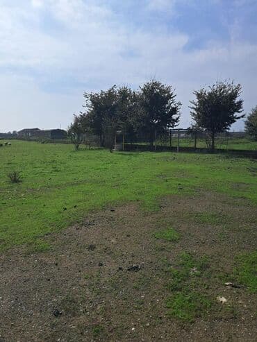 bağ evi satışı: Kənd təsərrüfatı — 11