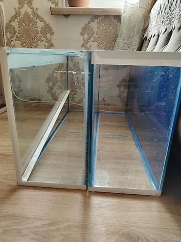induşka qiyməti: Akvarium satılır . 80×21. hündürlük 40 sm . 3 ədəddir. arxası — 4