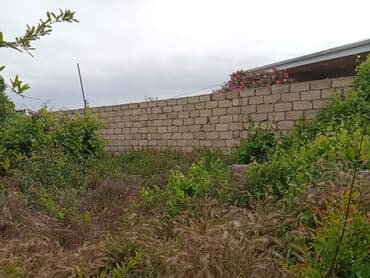 xacmaz torpaq satilir: 5 sot, Tikinti, Mülkiyyətçi, Kupça (Çıxarış) — 4