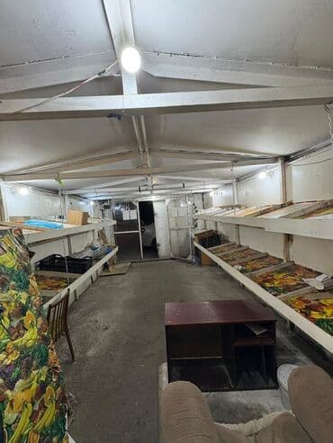 berber eşyaları: İcarəyə verilir – küçə ticarəti üçün hazır köşk/pavilon — 1