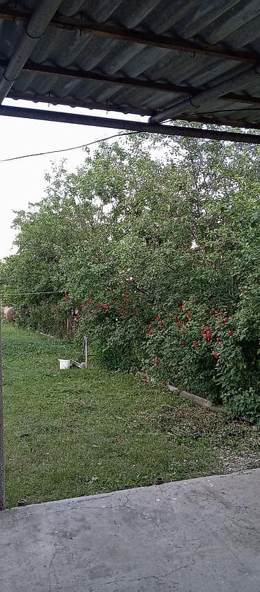 15 sot, Mülkiyyətçi, Kupça (Çıxarış) — 7