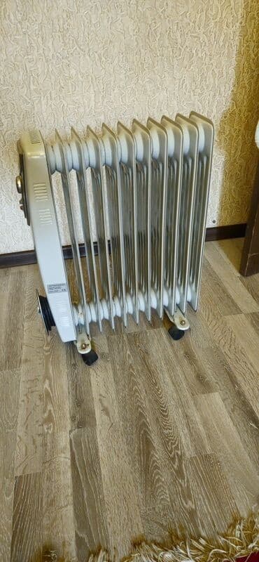 w210 radiator: Yağ radiatoru, Zass — 1