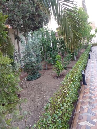 ищу работу садовник на дачу: Salam bağ evlərində, Abyektlərdə parklarda bağban xidməti görülür — 18