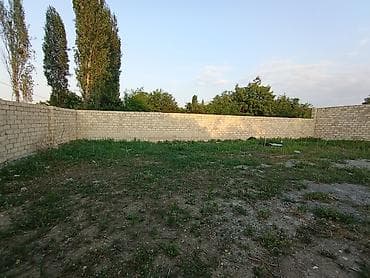 Torpaq: 5 sot, Tikinti, Kupça (Çıxarış) — 4