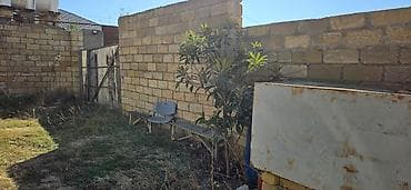 Torpaq: Kənd təsərrüfatı, Kupça (Çıxarış) — 5