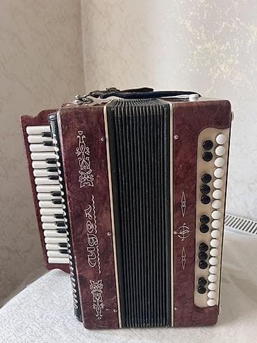 Musiqi alətləri: MUSİQİ ALƏTİ: Qarmon/akkordeon - Korpus: qırmızı-mərmər teksturalı — 3
