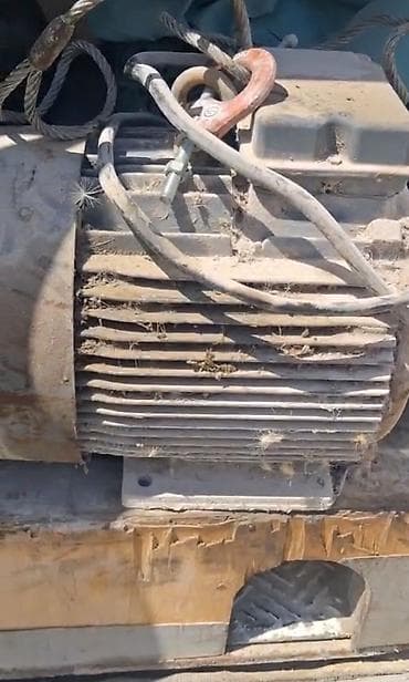 Sənaye elektrik mühərriki - Tip: Üçfazalı asinxron elektrik mühərriki