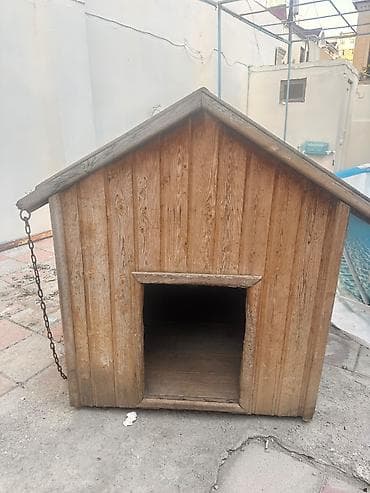 Salam gorduyuvuz kımı yaxwı vezıyetdedı satılır real alıcıya endırım