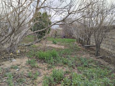 dübəndi torpaq: 11 sot, Tikinti, Makler, Kupça (Çıxarış) — 6