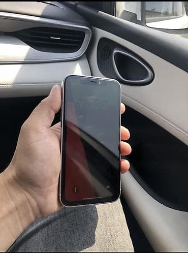 IPhone 15 Pro, Gümüşü