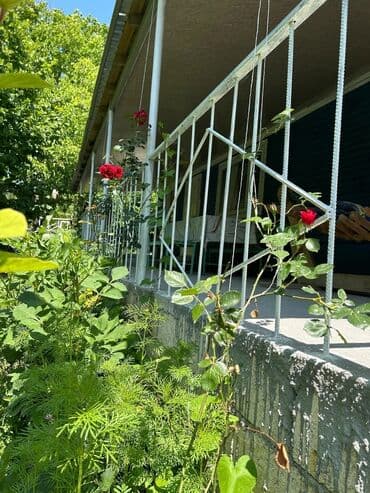 qaxda kirayə evlər 2023: 120 kv. m, 3 otaqlı, İnternet — 4