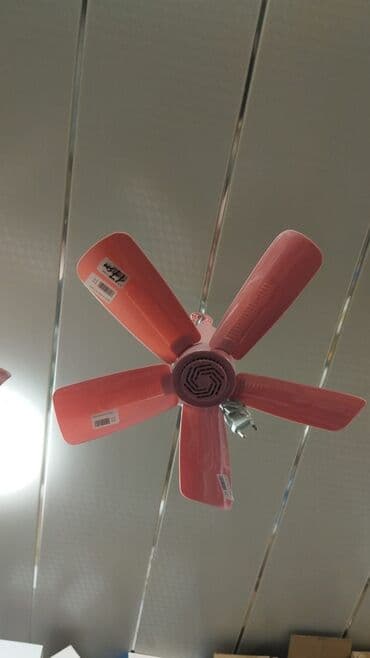 asma ventilyator: Вентилятор Новый, Потолочный, Лопастной, Нет кредита, Платная доставка, Самовывоз, Доставка в районы — 2