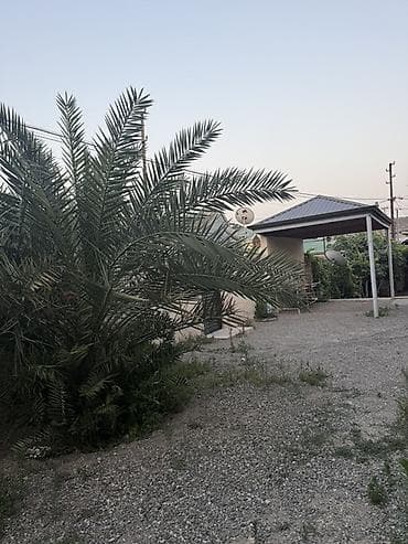 Binəqədi rayonu, Rəsulzadə qəsəbəsində 12 sot həyət evi və torpaq — 10