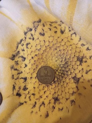 qəpik pullar: Sovet dövrünə aid köhnə xırda pul kolleksiyası - 5 kopeek – 1946. Ön — 3