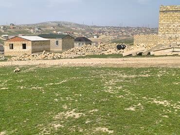 qobu hokmeli: 3 sot, Tikinti, Mülkiyyətçi, Bələdiyyə — 4