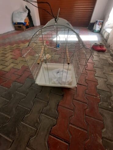 переноска для кошек баку: 2 böyük qəfəs — 1