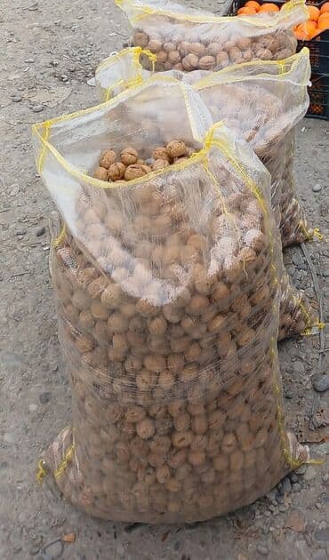 Məhsul: Qabıqlı qoz (tam meyvə) Ukraniya Qozu Qabıqı yumşaq Topdan — 3