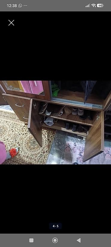 qapi ve pencere: 2 qapılı, Güzgülü, Qəhvəyi, Taxta, Kupe, Düz dolab — 4