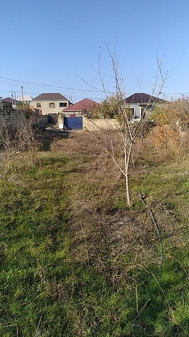 torpaq oğuz: Saray qəsəbəsi. Nazim marketə yaxın. 5.5 sot torpaq satılır — 3