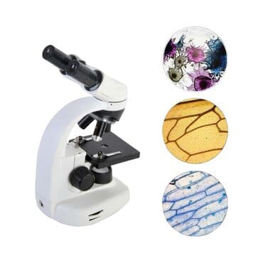 пейнтбол баку: Mikroskop — 1