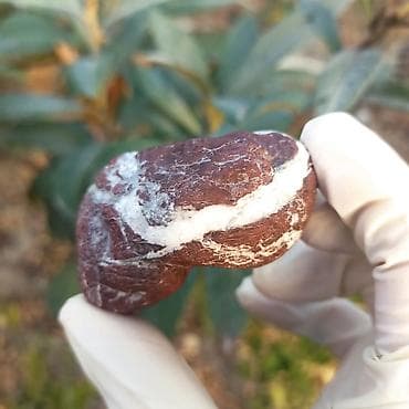 sitrin daşı: Təbii Jasper daşı Satılır 💎 - Material: təbii jasper (yarıqiymətli — 2