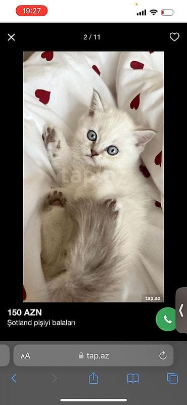 suda yaşayan heyvanlar: Siam — 5