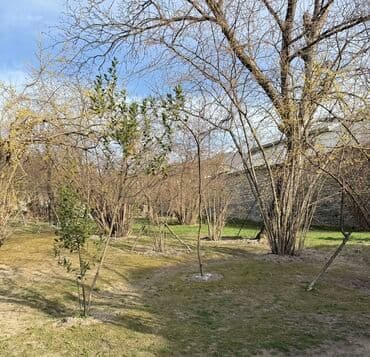 yevlaxda satılan evlər: 8 sot, Tikinti, Mülkiyyətçi, Kupça (Çıxarış) — 2