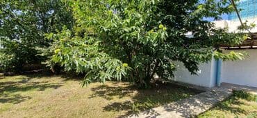 torpaq mingecevir: 12 sot, Tikinti, Makler, Kupça (Çıxarış) — 26