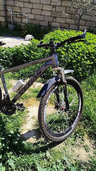 velosobetler: VEGAS dağ velosipedi - Çərçivə: yüngül ərintidən, idman geometriyası — 5