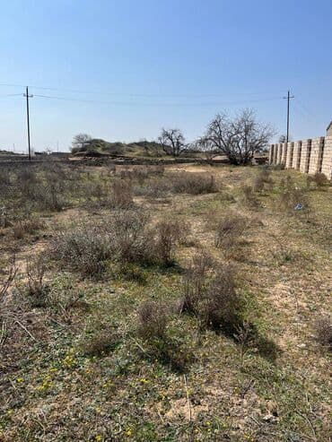 xacmazda torpaq satilir 2021: 25 sot, Tikinti, Makler, Kupça (Çıxarış) — 1