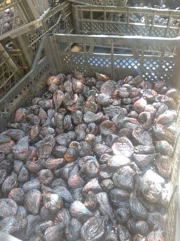 əncir qurusu: Yüksək keyfiyyətli, təbii yolla qurudulmuş əncir. Bu qurudulmuş — 1