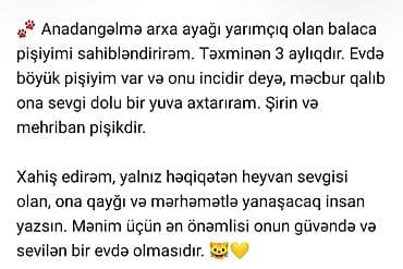 balaca ag itler: Yaxşı əllərə — 1