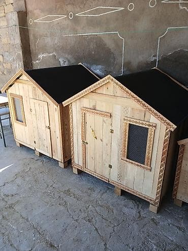 pomeranian spitz satilir: Yuvalar yeni yığılıb qiymət balaca yuvaya aiddi Ölçüyə görə qiymət — 2
