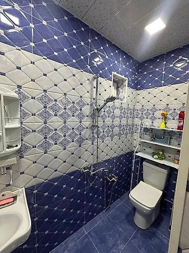 приют для животных в баку адрес: 4 комнаты, 120 м² — 10