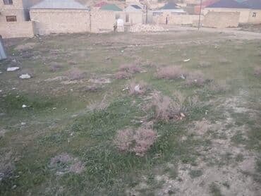 Həyət evləri və villalar: 6 sot, Tikinti, Mülkiyyətçi, Bələdiyyə — 7