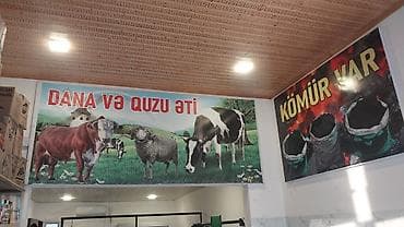 Другое оборудование для бизнеса: BOĞAZİÇİ ətçəkən maşın – peşəkar istifadə üçün et ceken masini — 5