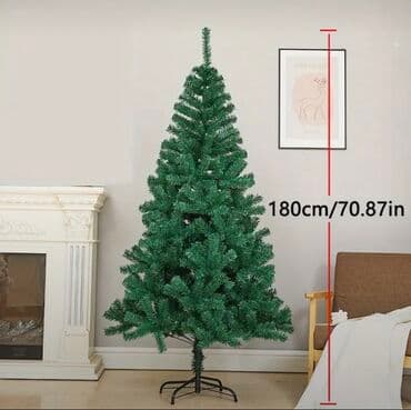 yolka ağacları: Yolka — 1