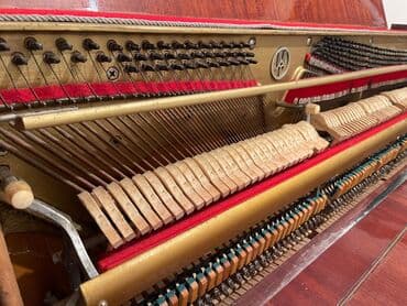 belarus pianino: Belarus piano — 5