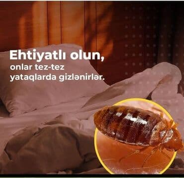 xalca yuma 1 50 azn 2023: Dezinfeksiya, dezinseksiya | Nəqliyyat — 20
