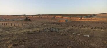 7 sot, Mülkiyyətçi, Kupça (Çıxarış)