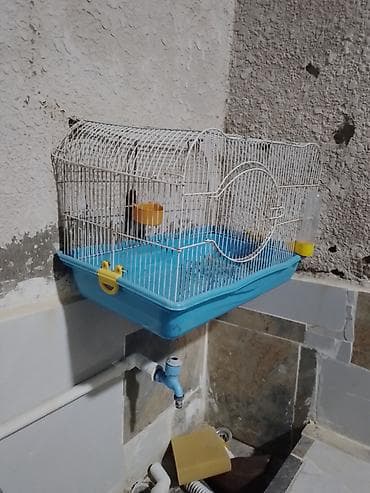 Quş qəfəsi – orta ölçülü, metal barmaqlıqlı və mavi plastik altlıqla — 2
