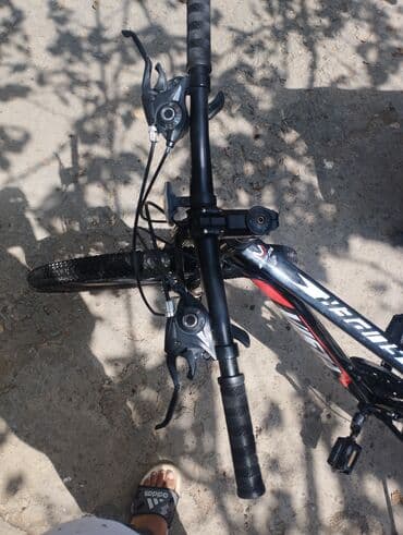 Информатика: Горный велосипед Vista, 29" — 3