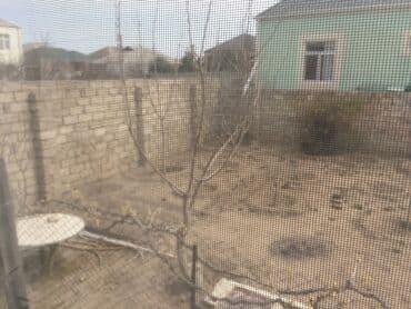 bine kirayə: Бина 3 комнаты, 100 м², Свежий ремонт — 3
