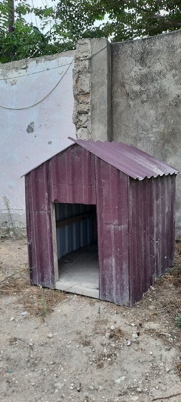 корм для собак баку: Другие товары для животных — 1