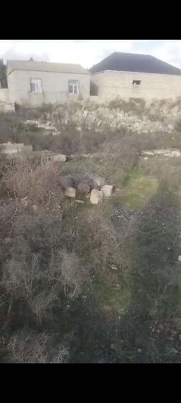 binede torpaq satilir: Tikinti — 3