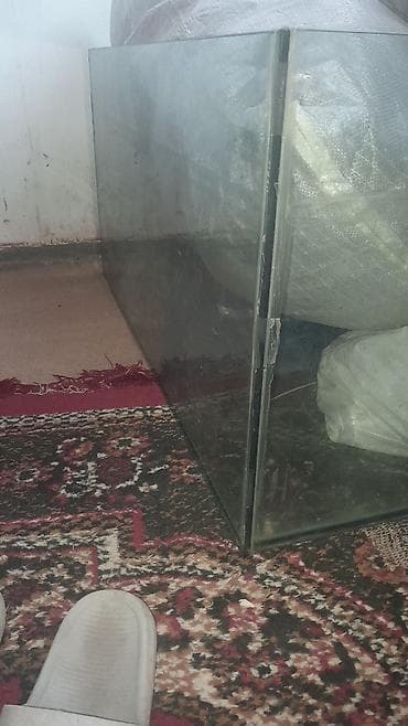 Şüşə akvarium - Material: qalın şüşə, şəffaf - Forma: düzbucaqlı, düz
